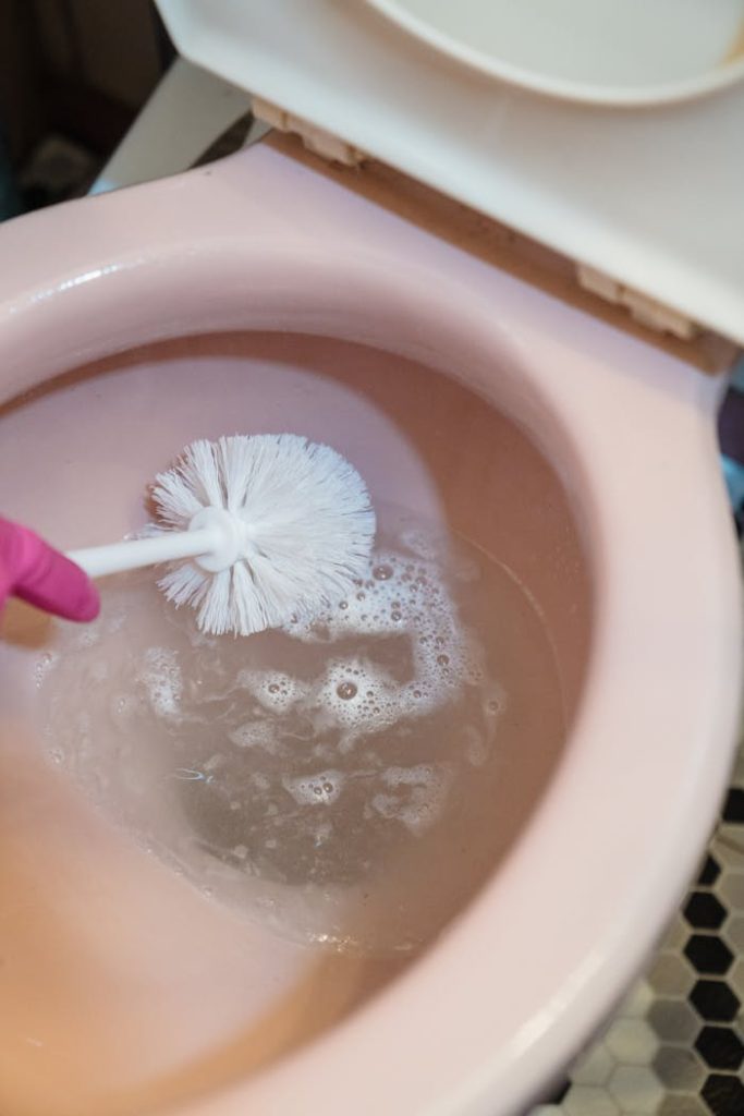 A Person Cleaning a Toilet Bowl